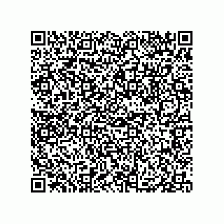 vCard 79833013745