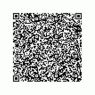 vCard 79833013753
