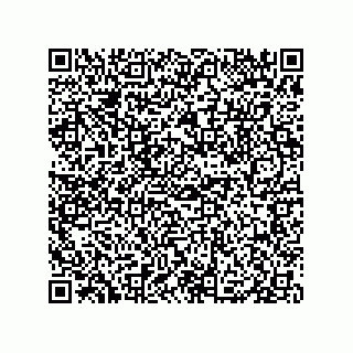vCard 79833013787