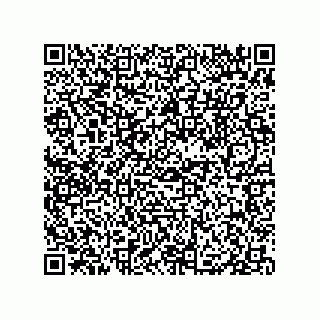 vCard 79833013793
