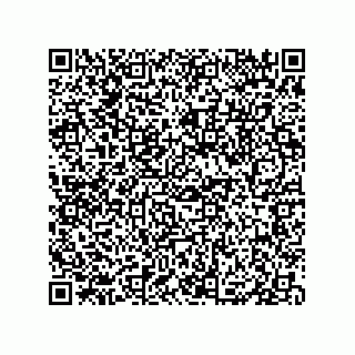 vCard 79833013802