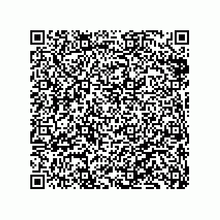 vCard 79833013819