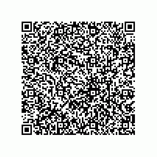 vCard 79833013821