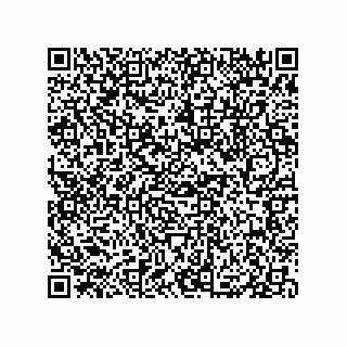 vCard 79833013822