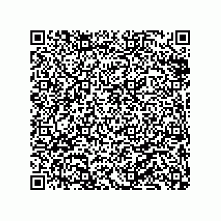 vCard 79833013833