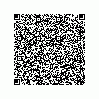 vCard 79833013841