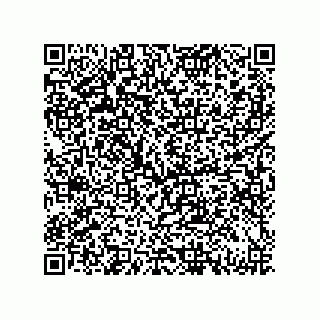 vCard 79833013843