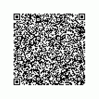 vCard 79833013858