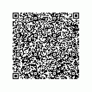 vCard 79833013870