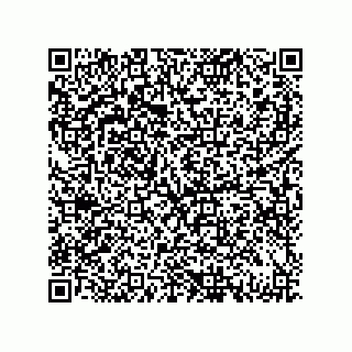 vCard 79833013871