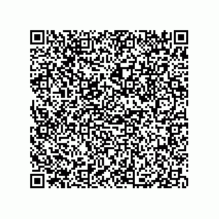 vCard 79833013872