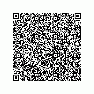 vCard 79833013875