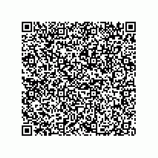 vCard 79833013878