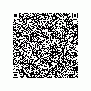 vCard 79833013879