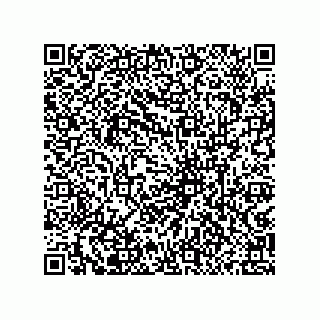 vCard 79833013880