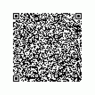 vCard 79833013884