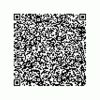vCard 79833013889