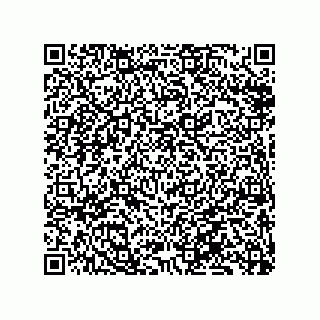 vCard 79833013900