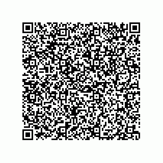 vCard 79833013901