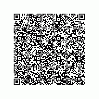 vCard 79833013903