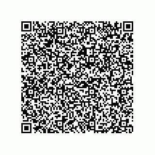 vCard 79833013905