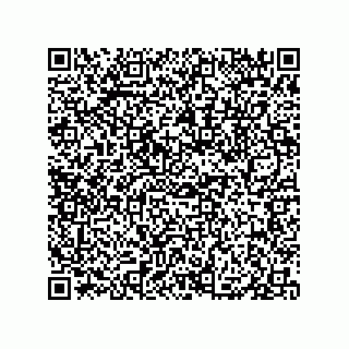 vCard 79833013925