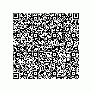 vCard 79833013931
