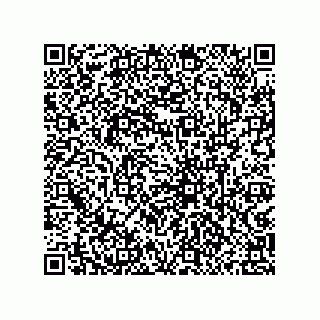 vCard 79833013994
