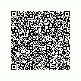 vCard 79833015131