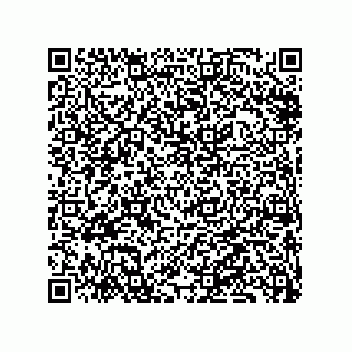 vCard 79833015296