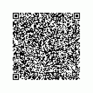 vCard 79833015303