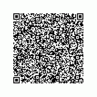 vCard 79833015333