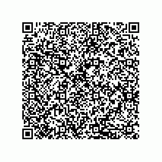 vCard 79833015335
