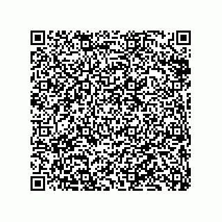 vCard 79833015339