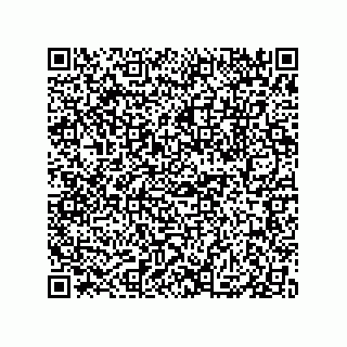 vCard 79833015374