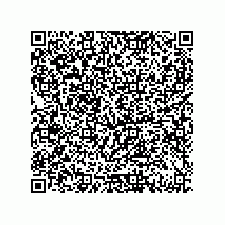 vCard 79833015380