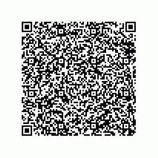 vCard 79833015382