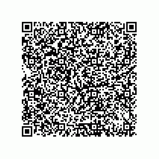 vCard 79833015387