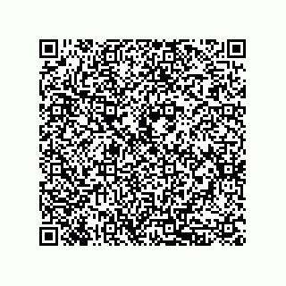 vCard 79833015388
