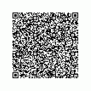 vCard 79833015389