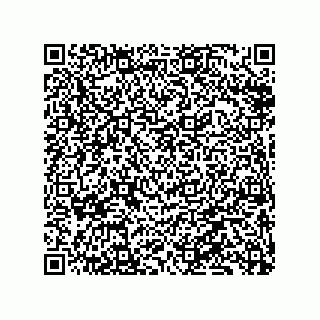 vCard 79833015402