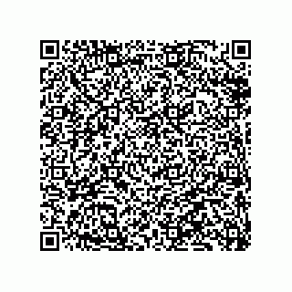 vCard 79833015408