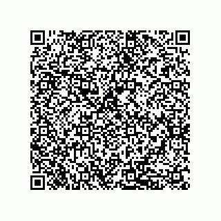 vCard 79833015631