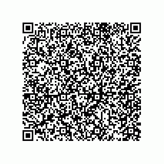 vCard 79833015713