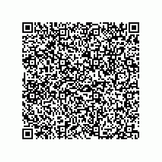 vCard 79833015821