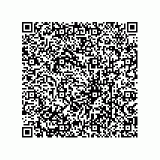 vCard 79833016381