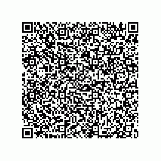 vCard 79833016384
