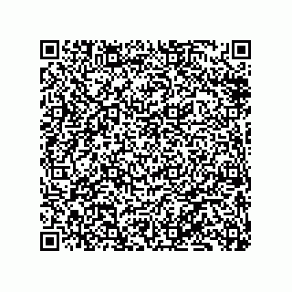 vCard 79833016881