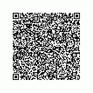 vCard 79833017104
