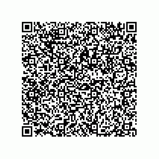 vCard 79833017205